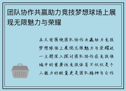 团队协作共赢助力竞技梦想球场上展现无限魅力与荣耀