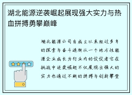湖北能源逆袭崛起展现强大实力与热血拼搏勇攀巅峰